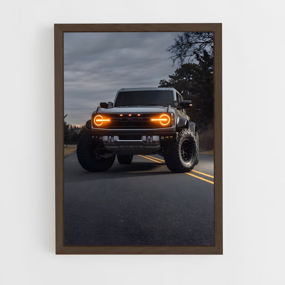 Poster Raptor Noir – affiche Ford (vue 5)
